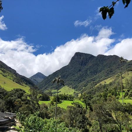 Cabanas Valle Del Cocora La Truchera Salento Exterior foto