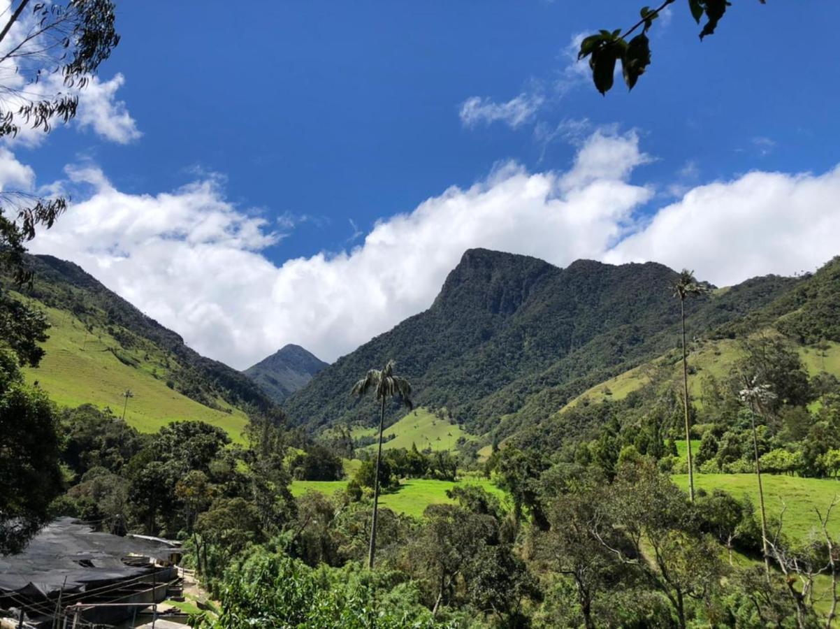 Cabanas Valle Del Cocora La Truchera Salento Exterior foto