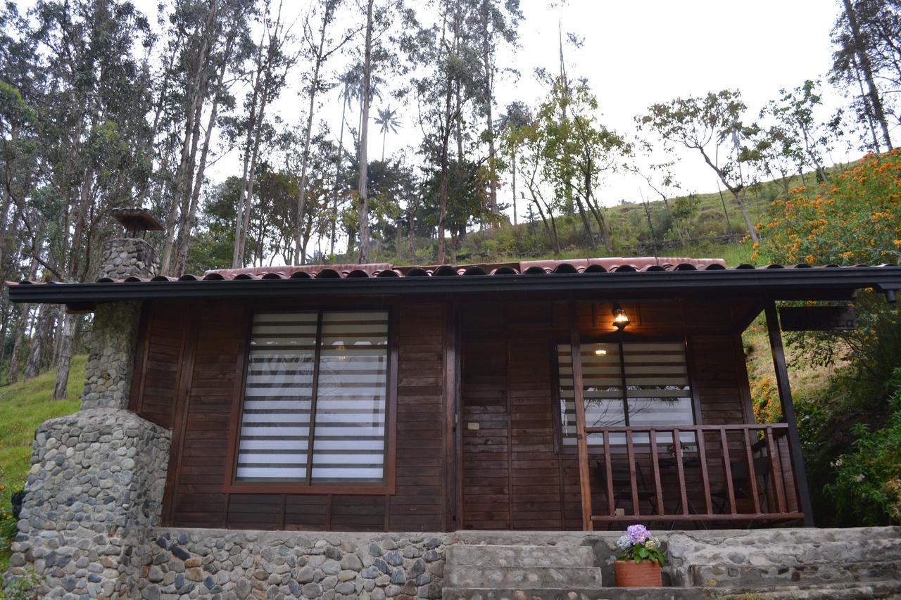 Cabanas Valle Del Cocora La Truchera Salento Exterior foto