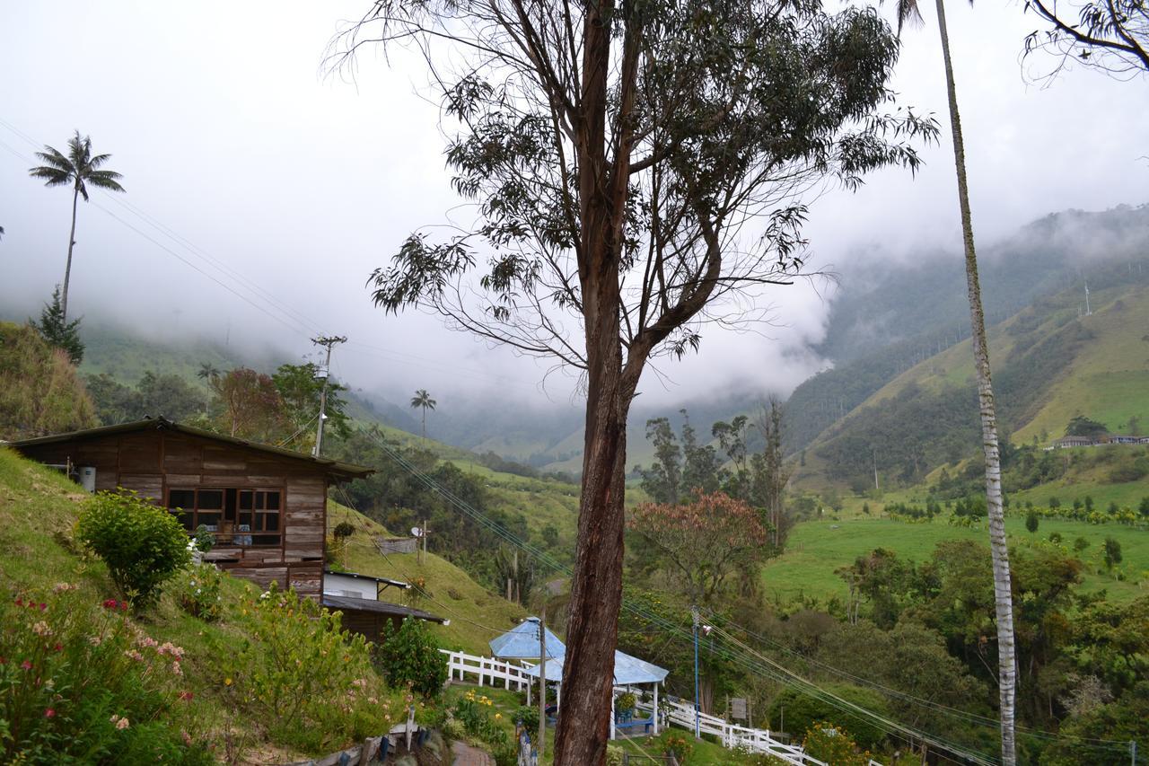 Cabanas Valle Del Cocora La Truchera Salento Exterior foto