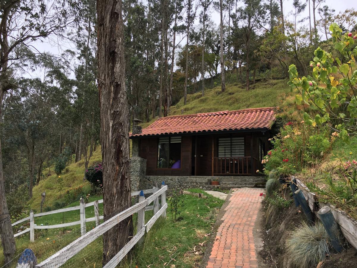 Cabanas Valle Del Cocora La Truchera Salento Exterior foto