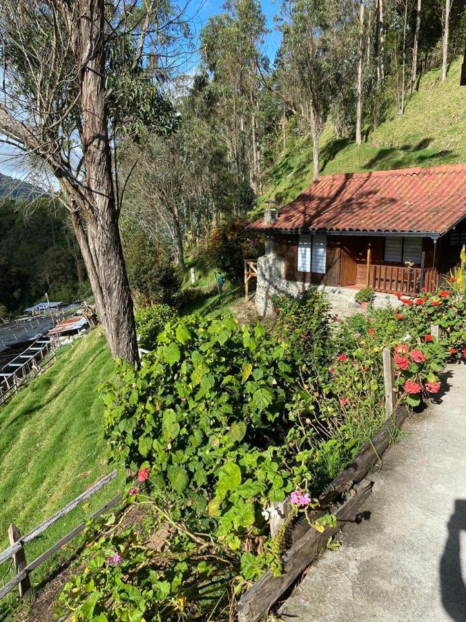 Cabanas Valle Del Cocora La Truchera Salento Exterior foto