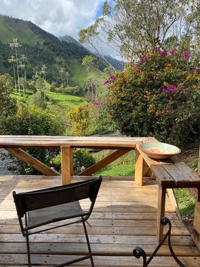 Cabanas Valle Del Cocora La Truchera Salento Exterior foto