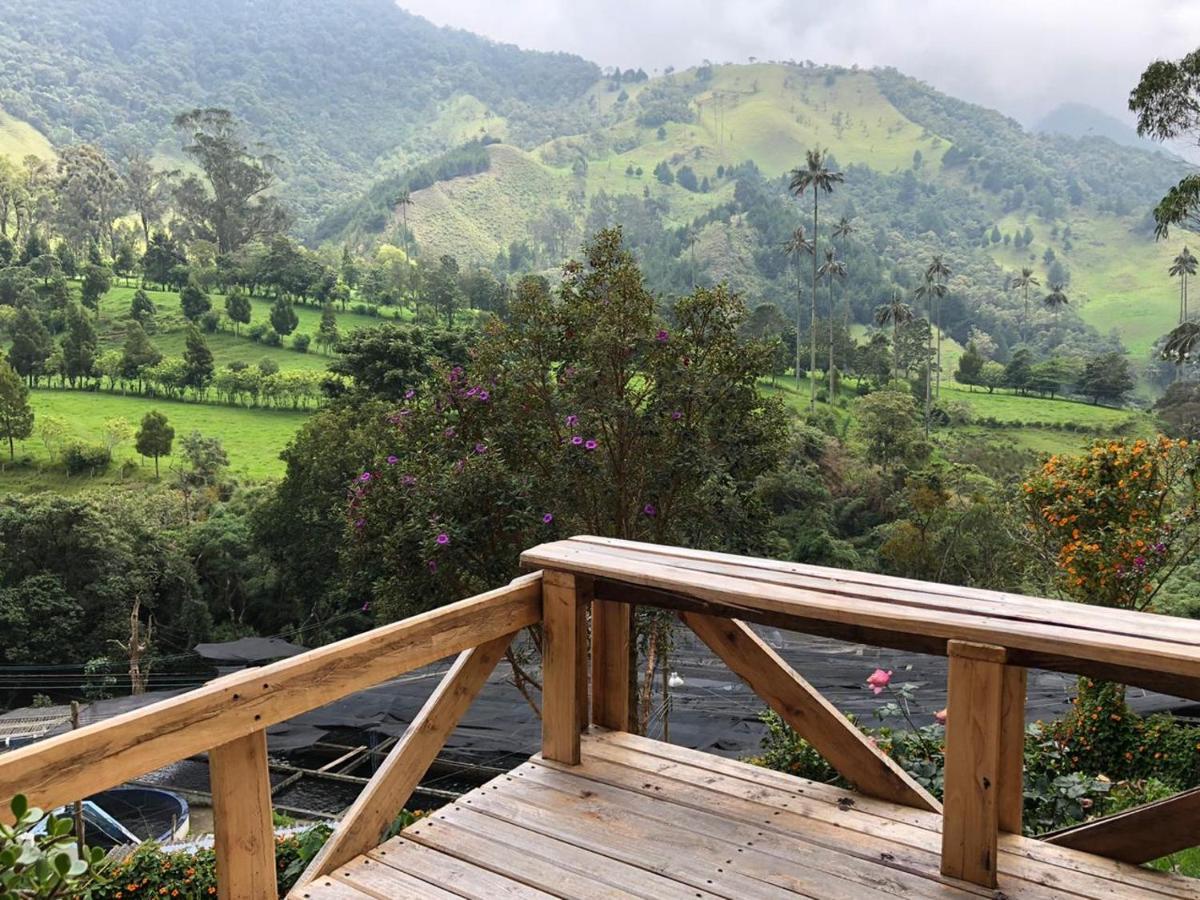 Cabanas Valle Del Cocora La Truchera Salento Exterior foto