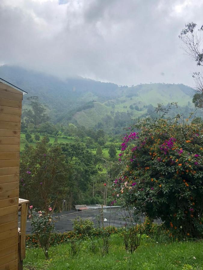 Cabanas Valle Del Cocora La Truchera Salento Exterior foto